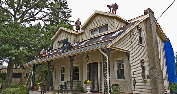 Best Metal Roofing Contractor  in Eugene, OR